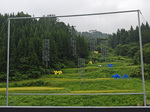 2015.9_01.jpg