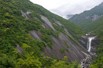 Yakushima03.jpg