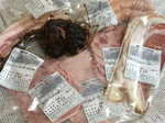 ham01.jpg