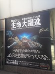 image01.jpeg
