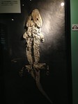 image02.jpeg